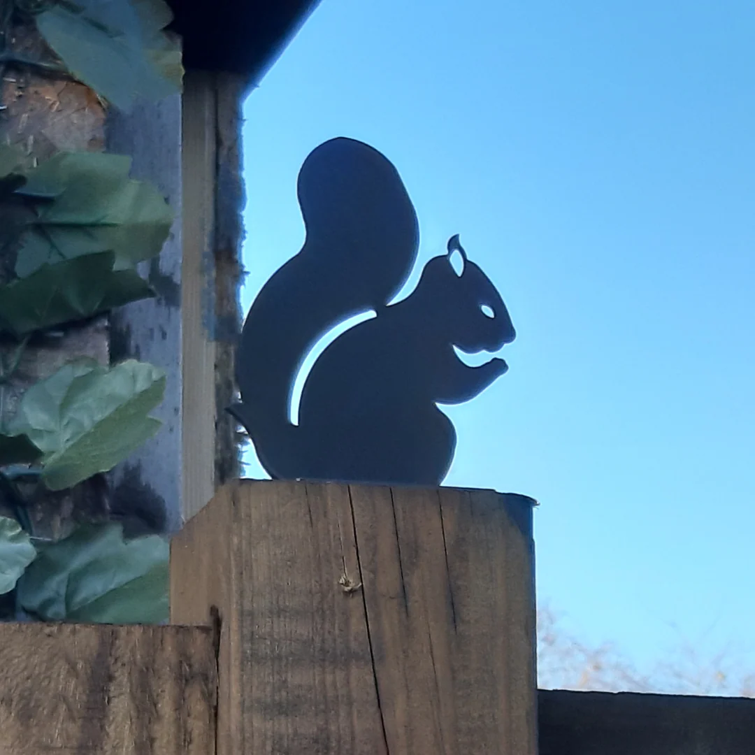 Squirrel Fence Topper - Image 5